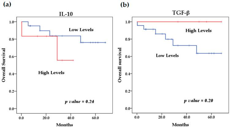 https://cdn.ncbi.nlm.nih.gov/pmc/blobs/67ff/12292616/b359007380ec/biomedicines-13-01517-g006.jpg