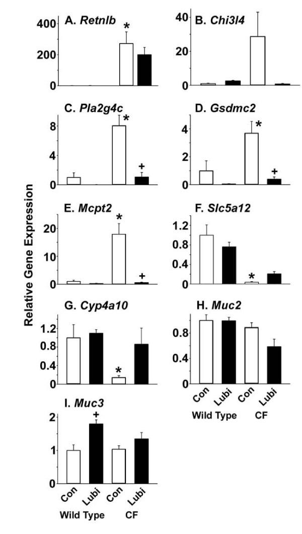 https://cdn.ncbi.nlm.nih.gov/pmc/blobs/67ff/2945989/178460cb6508/1471-230X-10-107-7.jpg