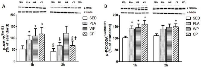 https://cdn.ncbi.nlm.nih.gov/pmc/blobs/6800/5351968/3f10058807d6/pone.0173809.g004.jpg