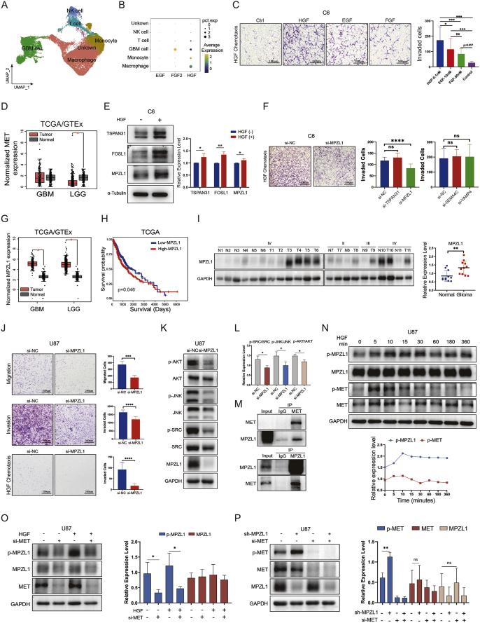https://cdn.ncbi.nlm.nih.gov/pmc/blobs/6802/11176650/867cb822e55f/gr1.jpg
