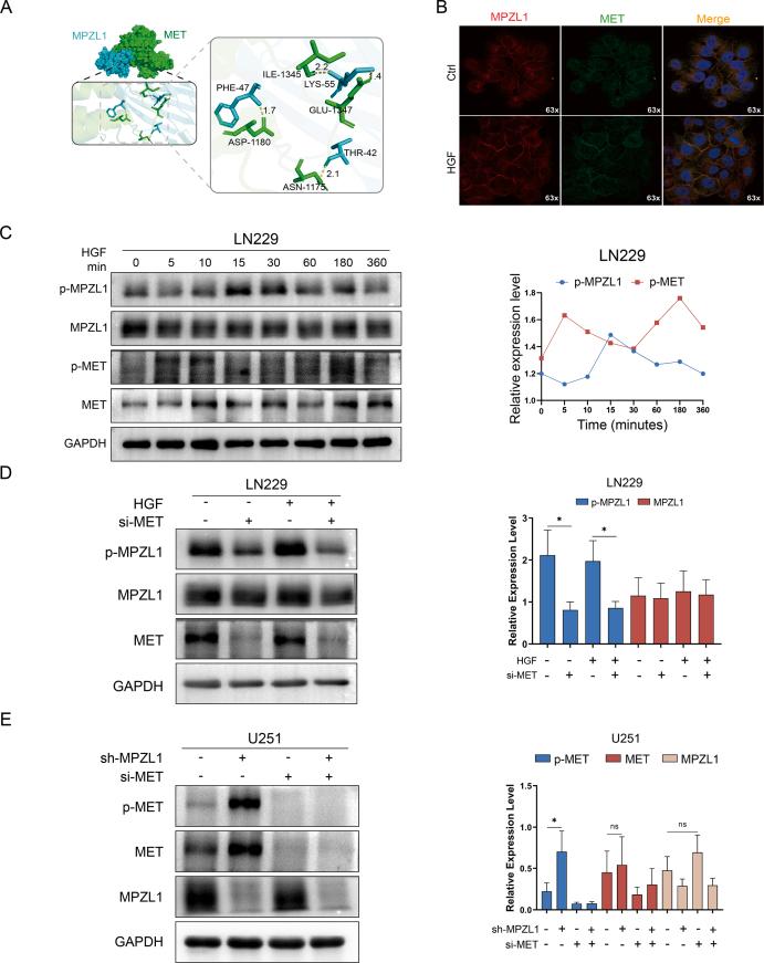 https://cdn.ncbi.nlm.nih.gov/pmc/blobs/6802/11176650/df006aa099db/figs6.jpg