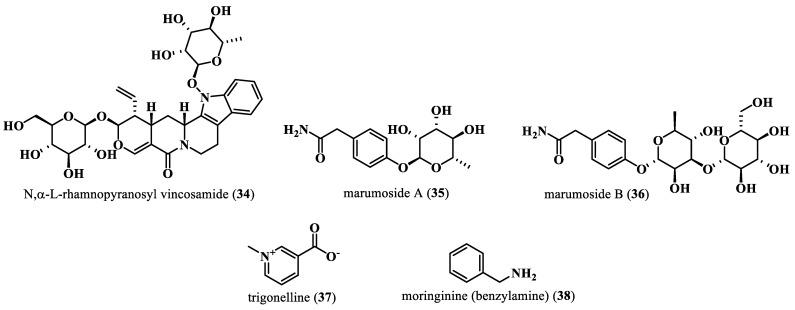 https://cdn.ncbi.nlm.nih.gov/pmc/blobs/6806/10780634/d6a7a4dbd0fd/plants-13-00020-g006.jpg