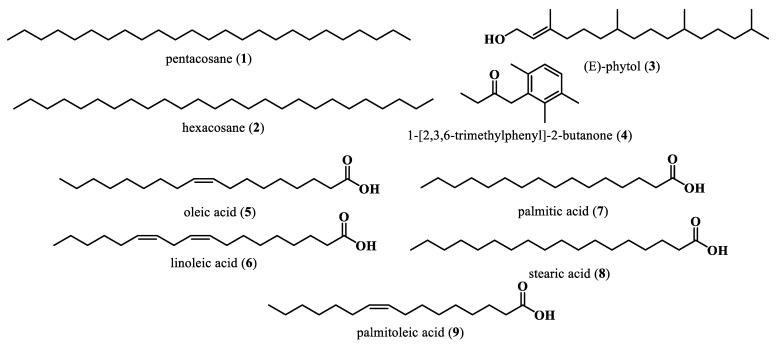 https://cdn.ncbi.nlm.nih.gov/pmc/blobs/6806/10780634/f07c9c472b2d/plants-13-00020-g002.jpg