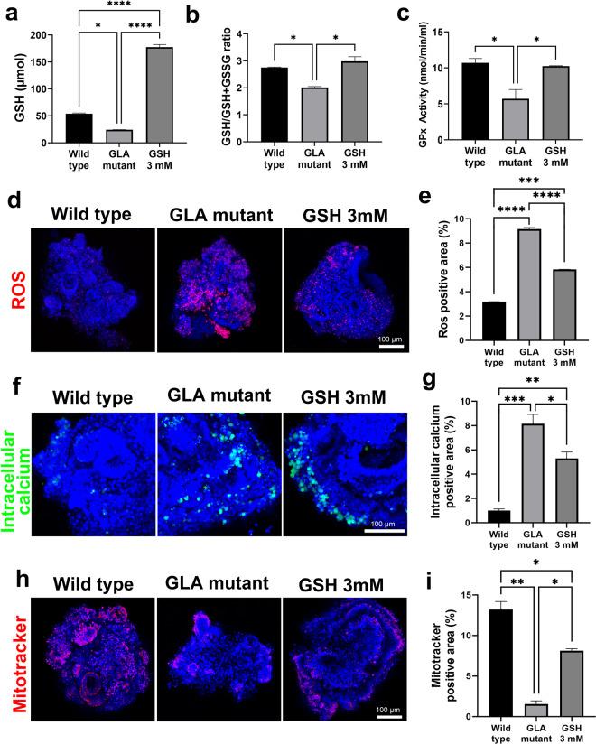 https://cdn.ncbi.nlm.nih.gov/pmc/blobs/6807/8568890/0410ec8afcac/12276_2021_683_Fig7_HTML.jpg