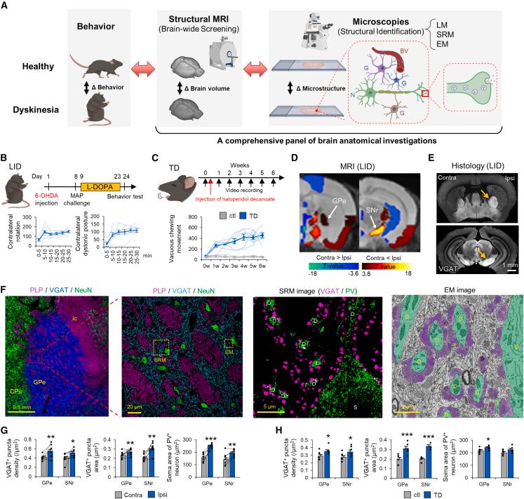 https://cdn.ncbi.nlm.nih.gov/pmc/blobs/6809/10591040/2664e1ca68fc/gr1.jpg