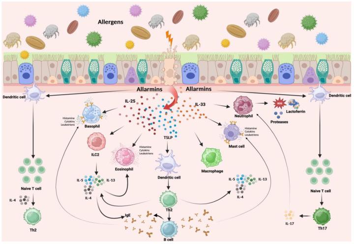 https://cdn.ncbi.nlm.nih.gov/pmc/blobs/680a/11206375/6b56e467d1f4/nutrients-16-01906-g003.jpg