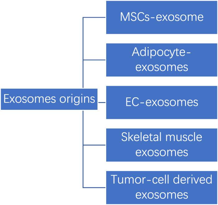 https://cdn.ncbi.nlm.nih.gov/pmc/blobs/680d/10204869/ed558d888a7d/fbioe-11-1167012-g003.jpg