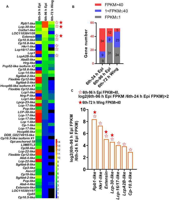 https://cdn.ncbi.nlm.nih.gov/pmc/blobs/680f/11392391/4dc6913e5f38/pgen.1011393.g001.jpg