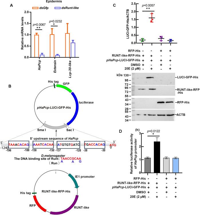 https://cdn.ncbi.nlm.nih.gov/pmc/blobs/680f/11392391/b2581a1f5845/pgen.1011393.g006.jpg