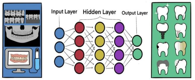 https://cdn.ncbi.nlm.nih.gov/pmc/blobs/680f/12008862/43e0cefbd855/12903_2025_5989_Fig3_HTML.jpg