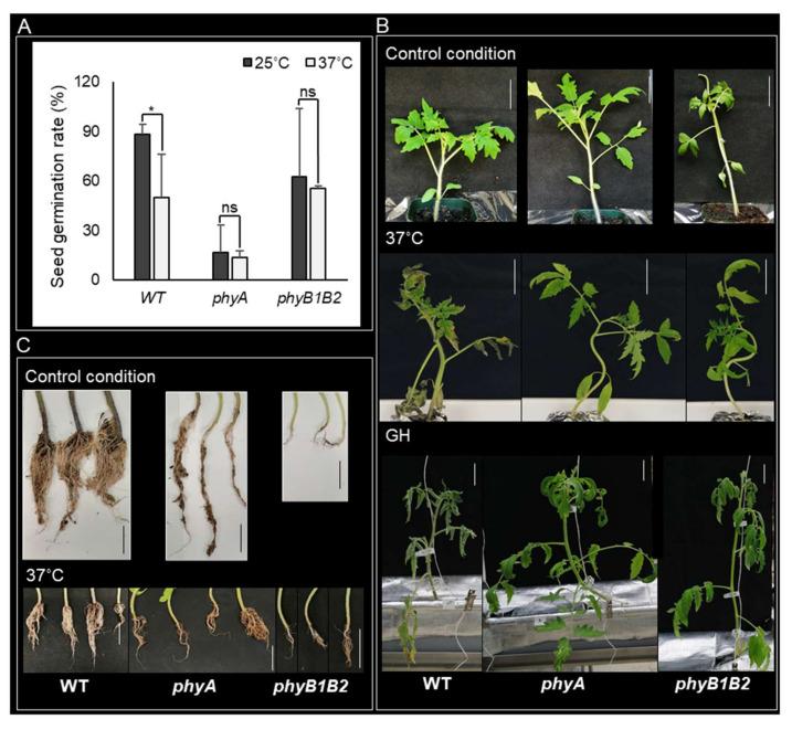 https://cdn.ncbi.nlm.nih.gov/pmc/blobs/680f/8835780/e81aceae7f2f/ijms-23-01681-g001.jpg