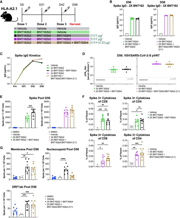 https://cdn.ncbi.nlm.nih.gov/pmc/blobs/6810/10099181/3bd2d383e59d/gr4_lrg.jpg