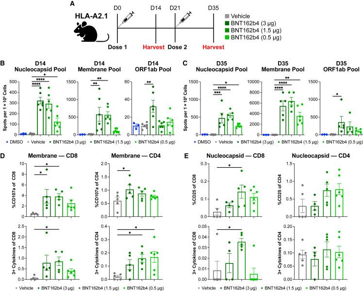 https://cdn.ncbi.nlm.nih.gov/pmc/blobs/6810/10099181/449660cb9933/gr3_lrg.jpg