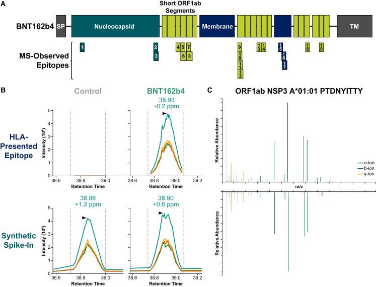 https://cdn.ncbi.nlm.nih.gov/pmc/blobs/6810/10099181/460d11581412/gr2_lrg.jpg