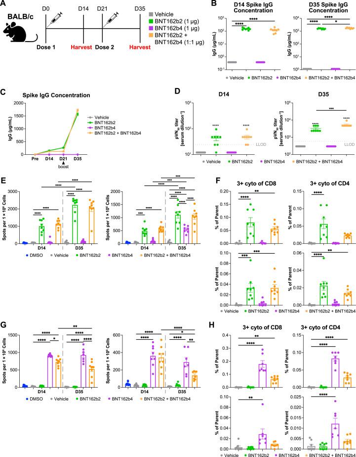 https://cdn.ncbi.nlm.nih.gov/pmc/blobs/6810/10099181/76be908b0d24/figs5_lrg.jpg