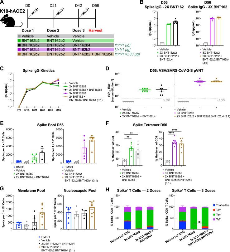 https://cdn.ncbi.nlm.nih.gov/pmc/blobs/6810/10099181/c682264b4ebb/figs6_lrg.jpg