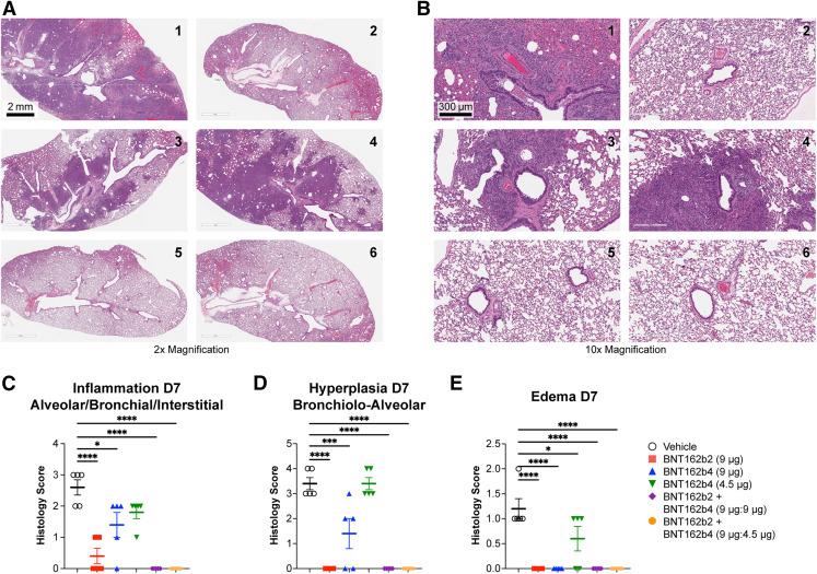https://cdn.ncbi.nlm.nih.gov/pmc/blobs/6810/10099181/cfb951615e1d/figs7_lrg.jpg