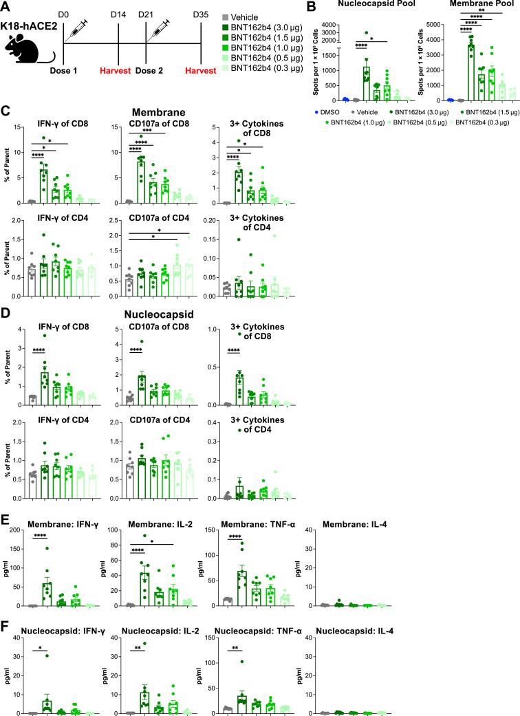 https://cdn.ncbi.nlm.nih.gov/pmc/blobs/6810/10099181/fd8097faef25/figs4_lrg.jpg