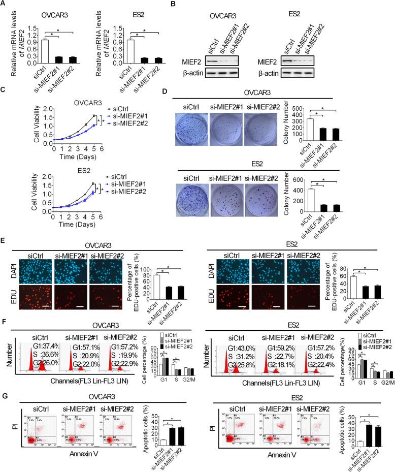https://cdn.ncbi.nlm.nih.gov/pmc/blobs/6810/7737286/32403ec80d41/13046_2020_1802_Fig2_HTML.jpg