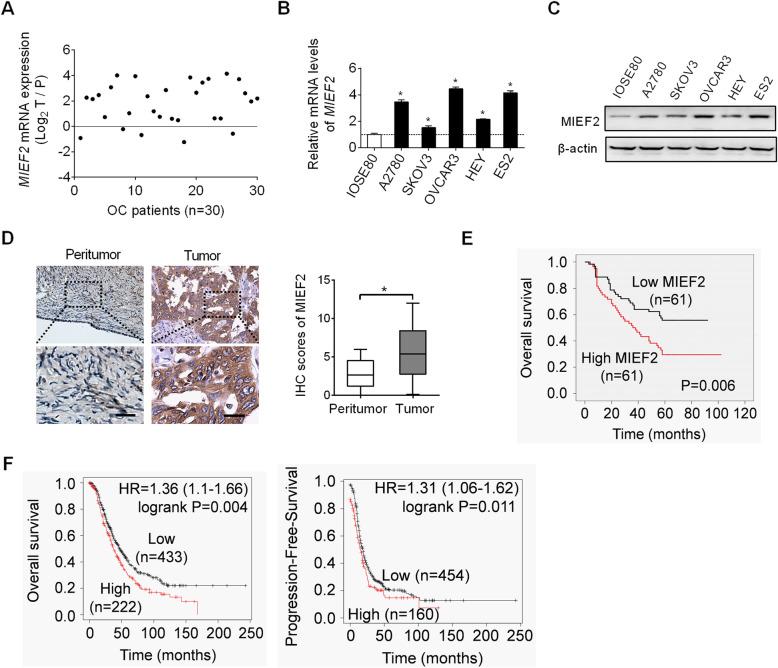 https://cdn.ncbi.nlm.nih.gov/pmc/blobs/6810/7737286/57e1efd8a3ac/13046_2020_1802_Fig1_HTML.jpg