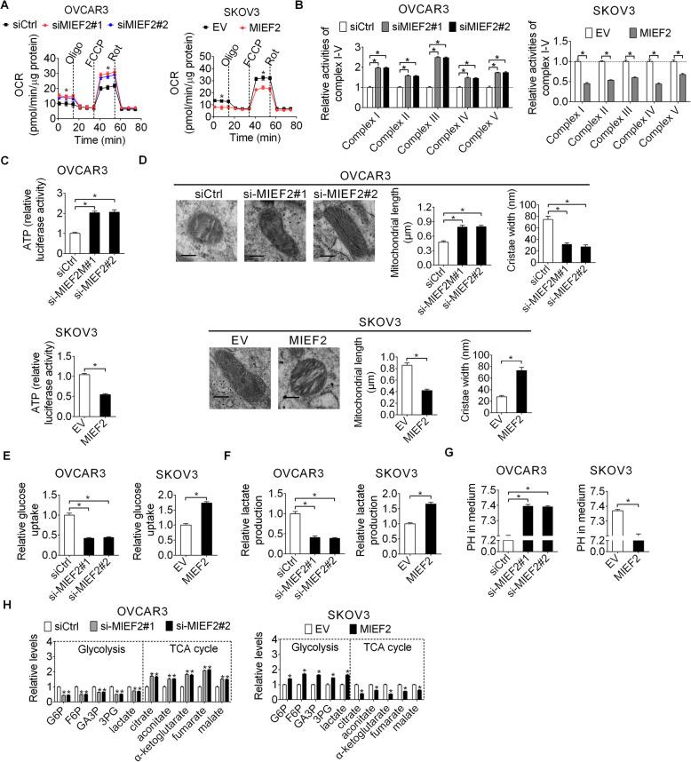 https://cdn.ncbi.nlm.nih.gov/pmc/blobs/6810/7737286/6db582a435ff/13046_2020_1802_Fig7_HTML.jpg
