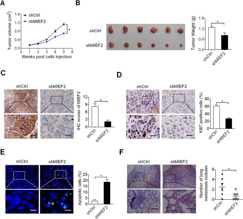 https://cdn.ncbi.nlm.nih.gov/pmc/blobs/6810/7737286/70ec385932c2/13046_2020_1802_Fig4_HTML.jpg