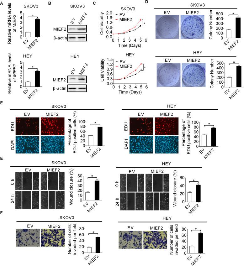 https://cdn.ncbi.nlm.nih.gov/pmc/blobs/6810/7737286/c59514c05fdd/13046_2020_1802_Fig5_HTML.jpg