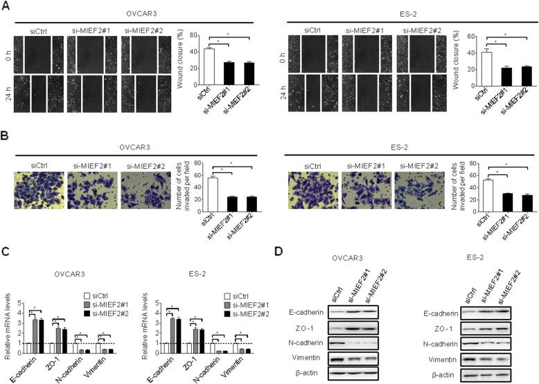 https://cdn.ncbi.nlm.nih.gov/pmc/blobs/6810/7737286/e8c10933af65/13046_2020_1802_Fig3_HTML.jpg