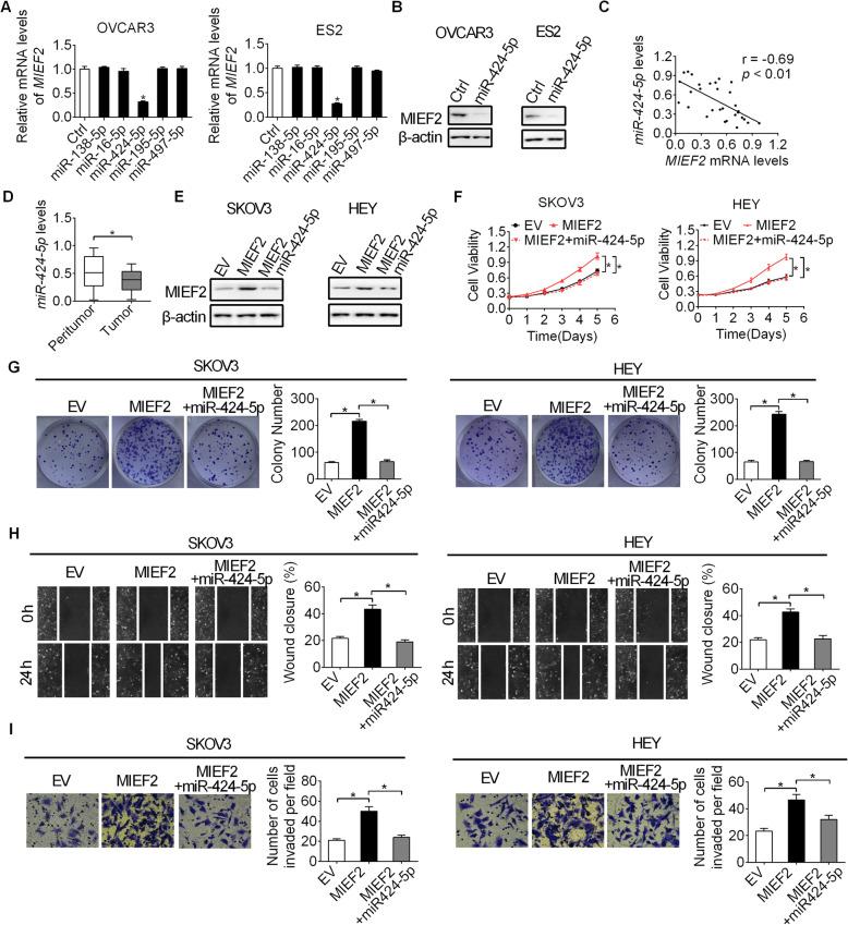 https://cdn.ncbi.nlm.nih.gov/pmc/blobs/6810/7737286/f2c36fc54000/13046_2020_1802_Fig6_HTML.jpg
