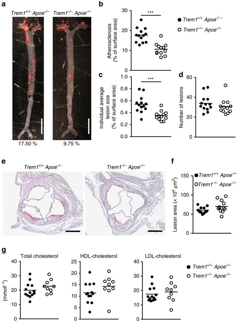 https://cdn.ncbi.nlm.nih.gov/pmc/blobs/6812/5080444/488645b4c993/ncomms13151-f1.jpg