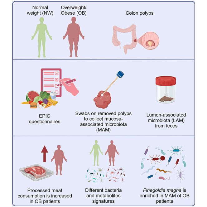 https://cdn.ncbi.nlm.nih.gov/pmc/blobs/6813/11995084/251cdd563e18/fx1.jpg