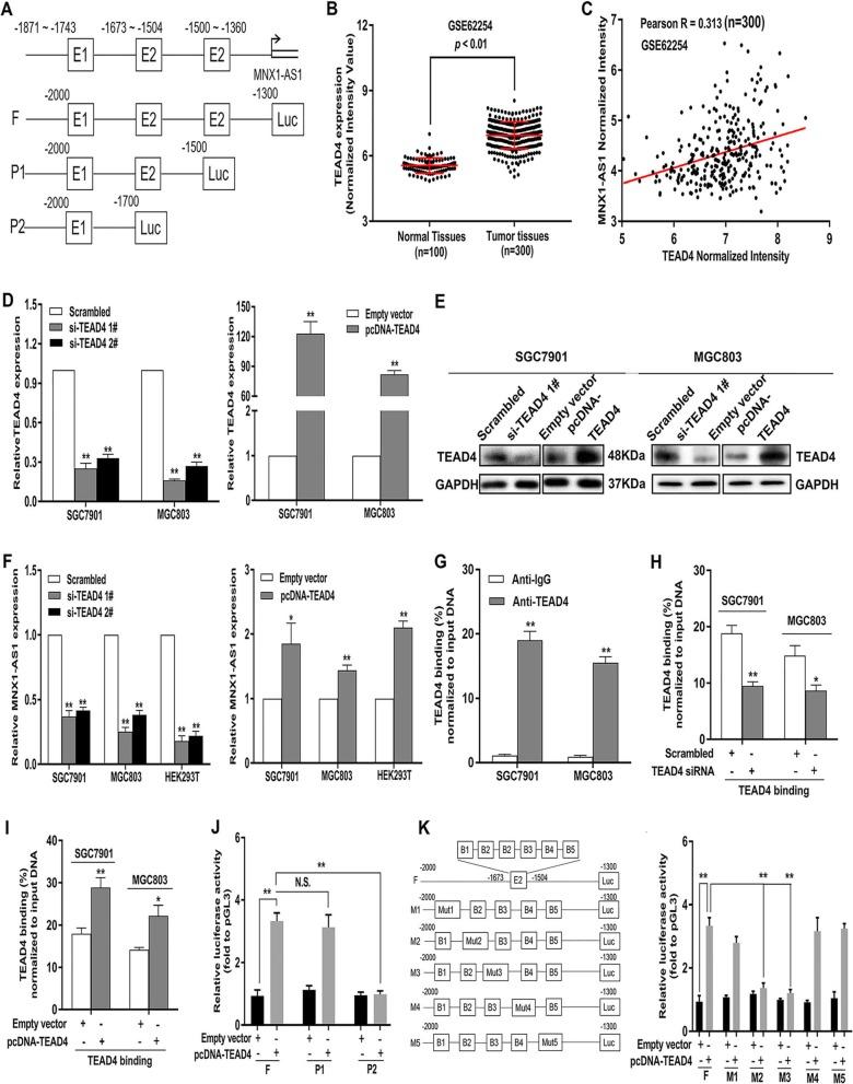 https://cdn.ncbi.nlm.nih.gov/pmc/blobs/6814/6953272/1a43ba101979/12943_2019_1104_Fig2_HTML.jpg