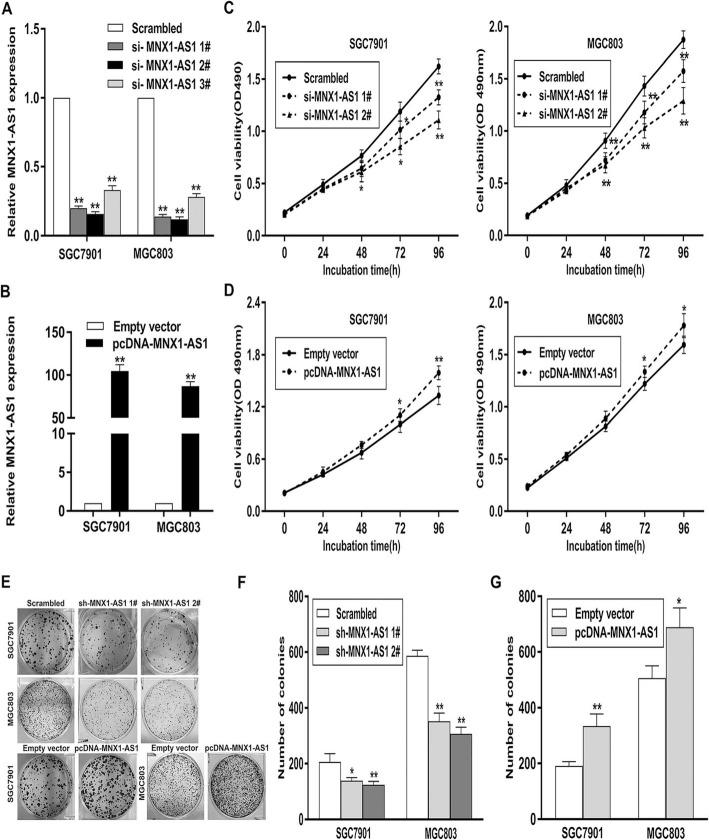 https://cdn.ncbi.nlm.nih.gov/pmc/blobs/6814/6953272/3d12b514dd14/12943_2019_1104_Fig3_HTML.jpg