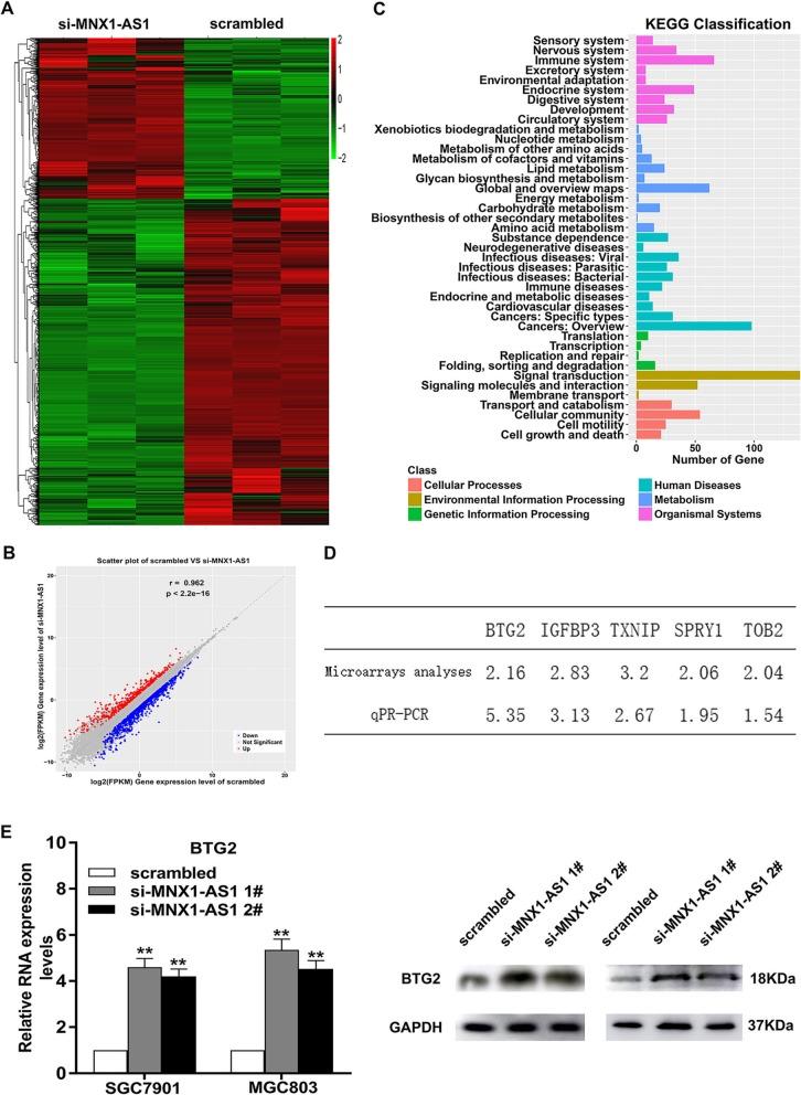 https://cdn.ncbi.nlm.nih.gov/pmc/blobs/6814/6953272/4695004c112c/12943_2019_1104_Fig6_HTML.jpg