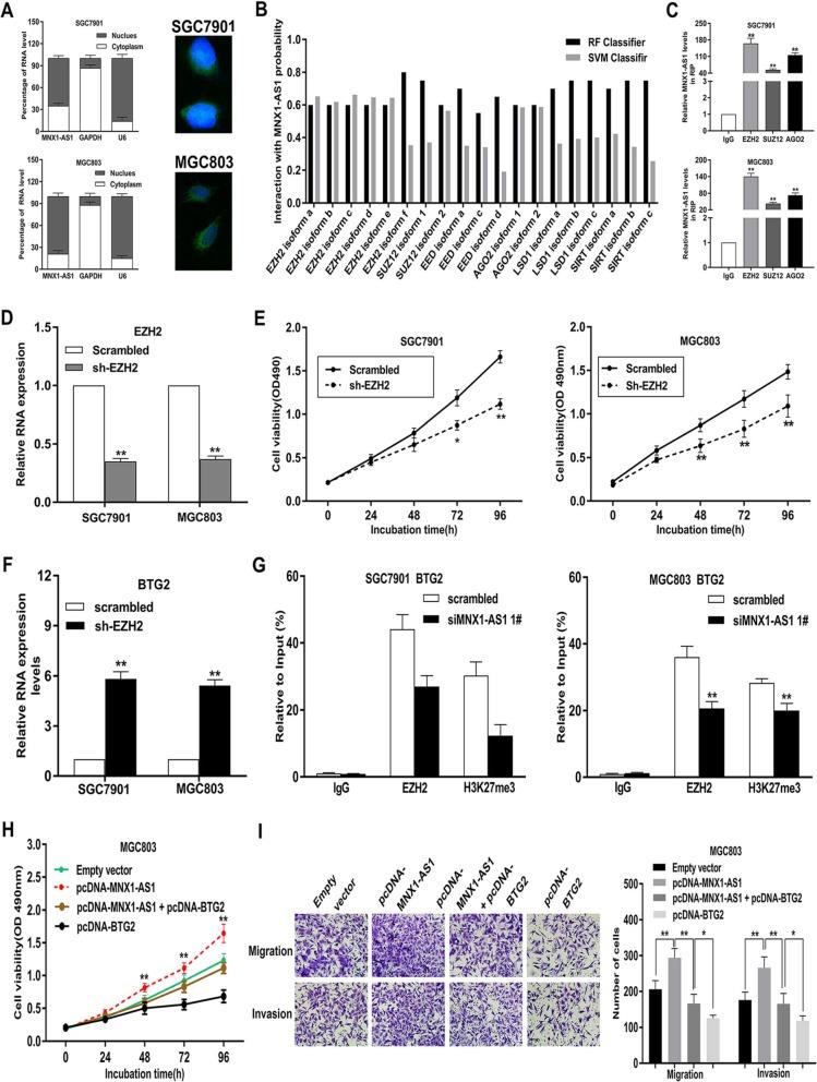 https://cdn.ncbi.nlm.nih.gov/pmc/blobs/6814/6953272/7cb9feb84a4b/12943_2019_1104_Fig7_HTML.jpg