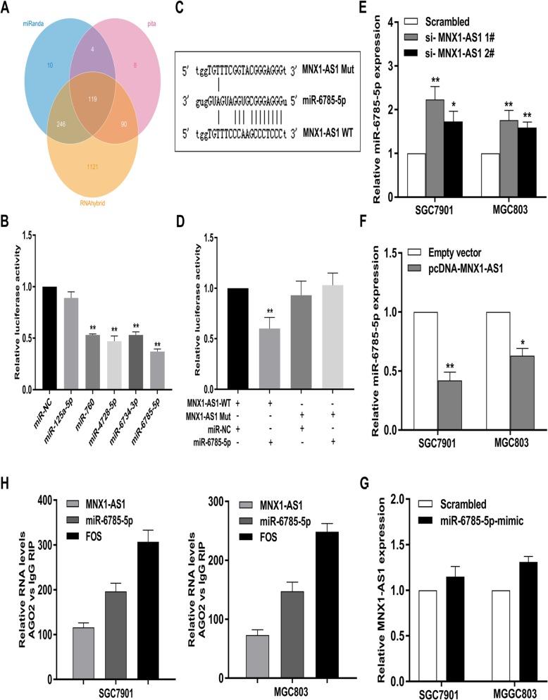 https://cdn.ncbi.nlm.nih.gov/pmc/blobs/6814/6953272/9174d9509b04/12943_2019_1104_Fig8_HTML.jpg