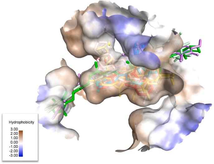 https://cdn.ncbi.nlm.nih.gov/pmc/blobs/6816/10821630/445dc9a7c49d/gr3.jpg