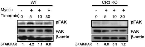 https://cdn.ncbi.nlm.nih.gov/pmc/blobs/681b/2826415/0ddebe519286/pone.0009380.g007.jpg