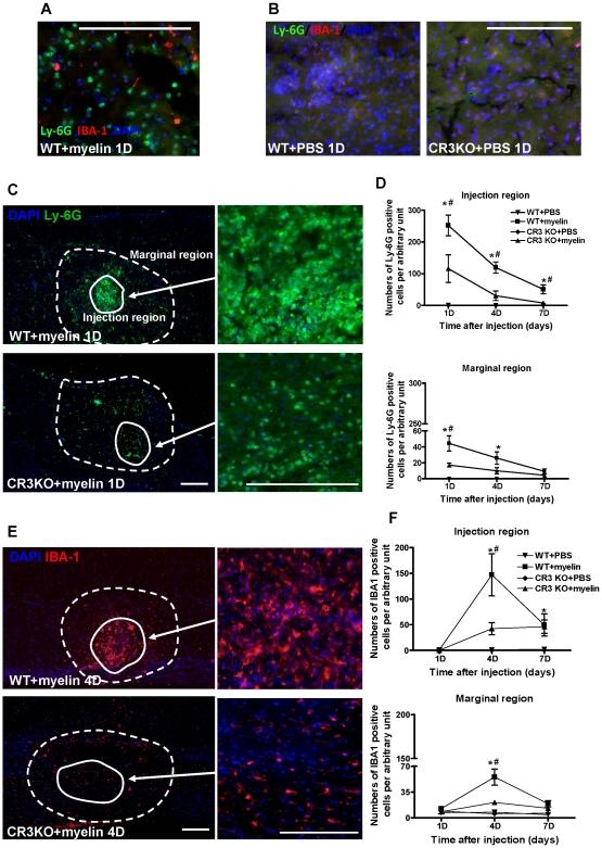 https://cdn.ncbi.nlm.nih.gov/pmc/blobs/681b/2826415/79058b9e94b5/pone.0009380.g002.jpg