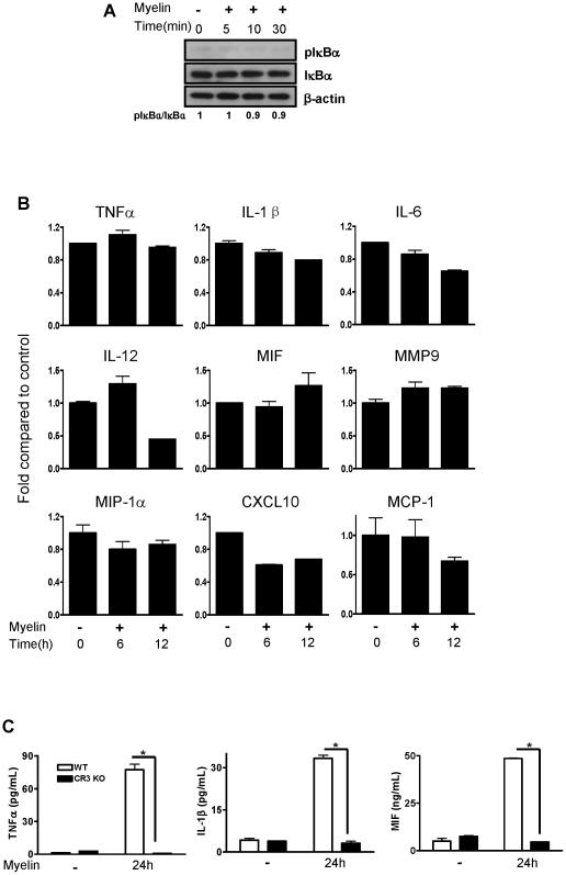 https://cdn.ncbi.nlm.nih.gov/pmc/blobs/681b/2826415/c07779900460/pone.0009380.g006.jpg