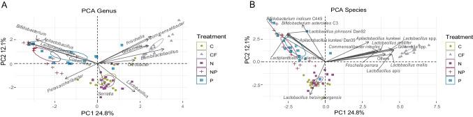 https://cdn.ncbi.nlm.nih.gov/pmc/blobs/681e/10293464/01d32590898b/248_2022_2050_Fig4_HTML.jpg