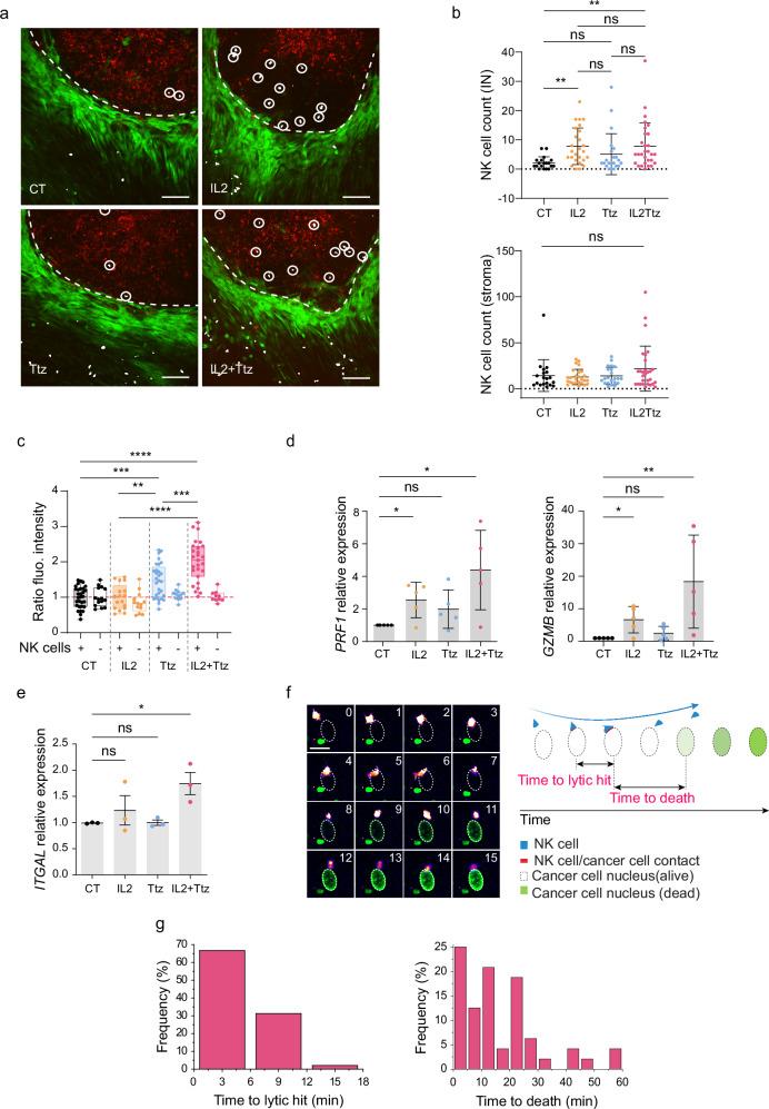 https://cdn.ncbi.nlm.nih.gov/pmc/blobs/681e/11790944/6883e88d6463/41467_2025_56275_Fig8_HTML.jpg