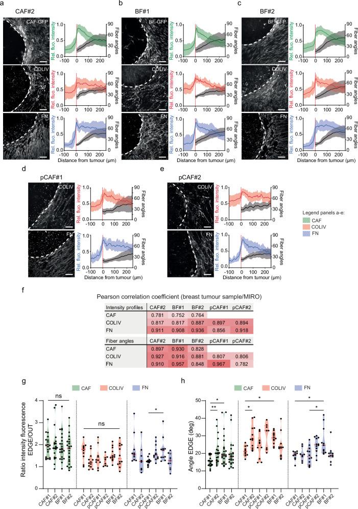 https://cdn.ncbi.nlm.nih.gov/pmc/blobs/681e/11790944/886646dbbfe5/41467_2025_56275_Fig3_HTML.jpg