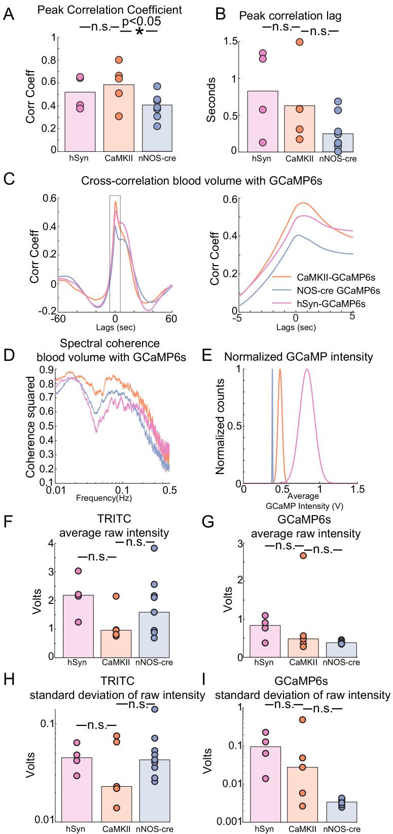 https://cdn.ncbi.nlm.nih.gov/pmc/blobs/681e/7556878/2a8c8eb5e3d0/elife-60533-fig7-figsupp2.jpg
