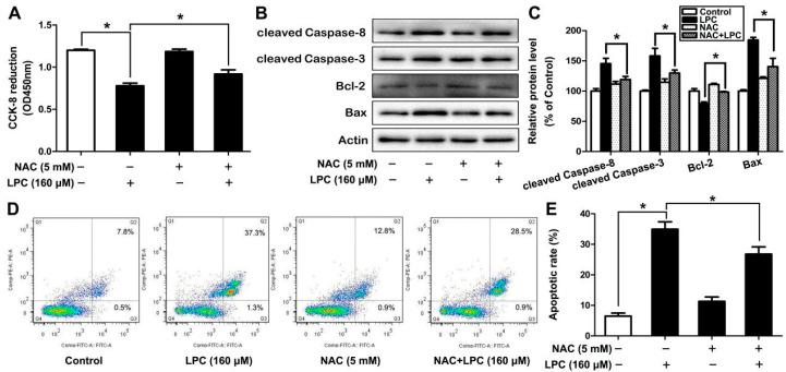 https://cdn.ncbi.nlm.nih.gov/pmc/blobs/681f/8835979/2582914c8be0/ijms-23-01479-g004.jpg