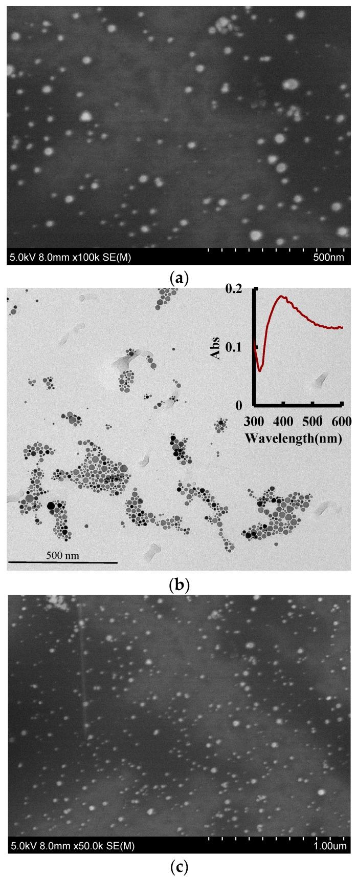 https://cdn.ncbi.nlm.nih.gov/pmc/blobs/6821/6474095/fbadb58c46c0/nanomaterials-09-00480-g003a.jpg