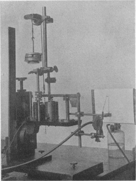 https://cdn.ncbi.nlm.nih.gov/pmc/blobs/6824/1514834/9d4a5ff80778/jphysiol02524-0038-a.jpg