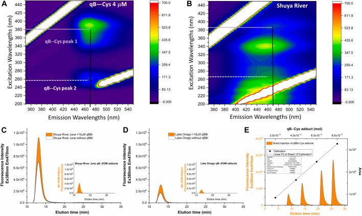 https://cdn.ncbi.nlm.nih.gov/pmc/blobs/6825/8888841/7c3243089eac/fchem-10-800696-g001.jpg