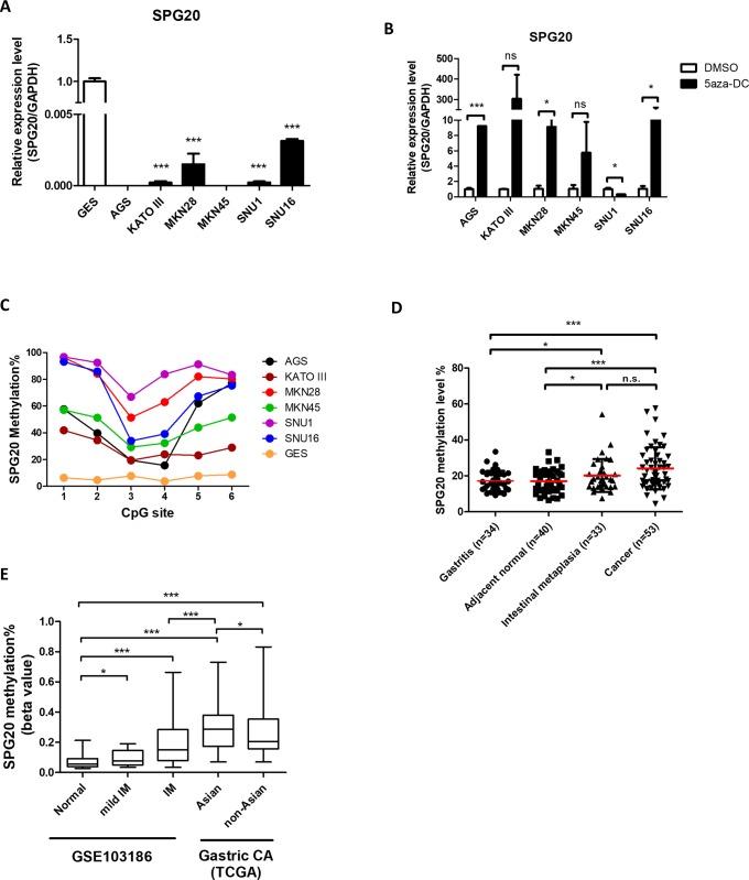 https://cdn.ncbi.nlm.nih.gov/pmc/blobs/6826/6564691/834ab0de5c13/pone.0218338.g002.jpg