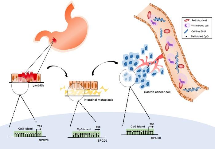 https://cdn.ncbi.nlm.nih.gov/pmc/blobs/6826/6564691/b42213cbf143/pone.0218338.g004.jpg